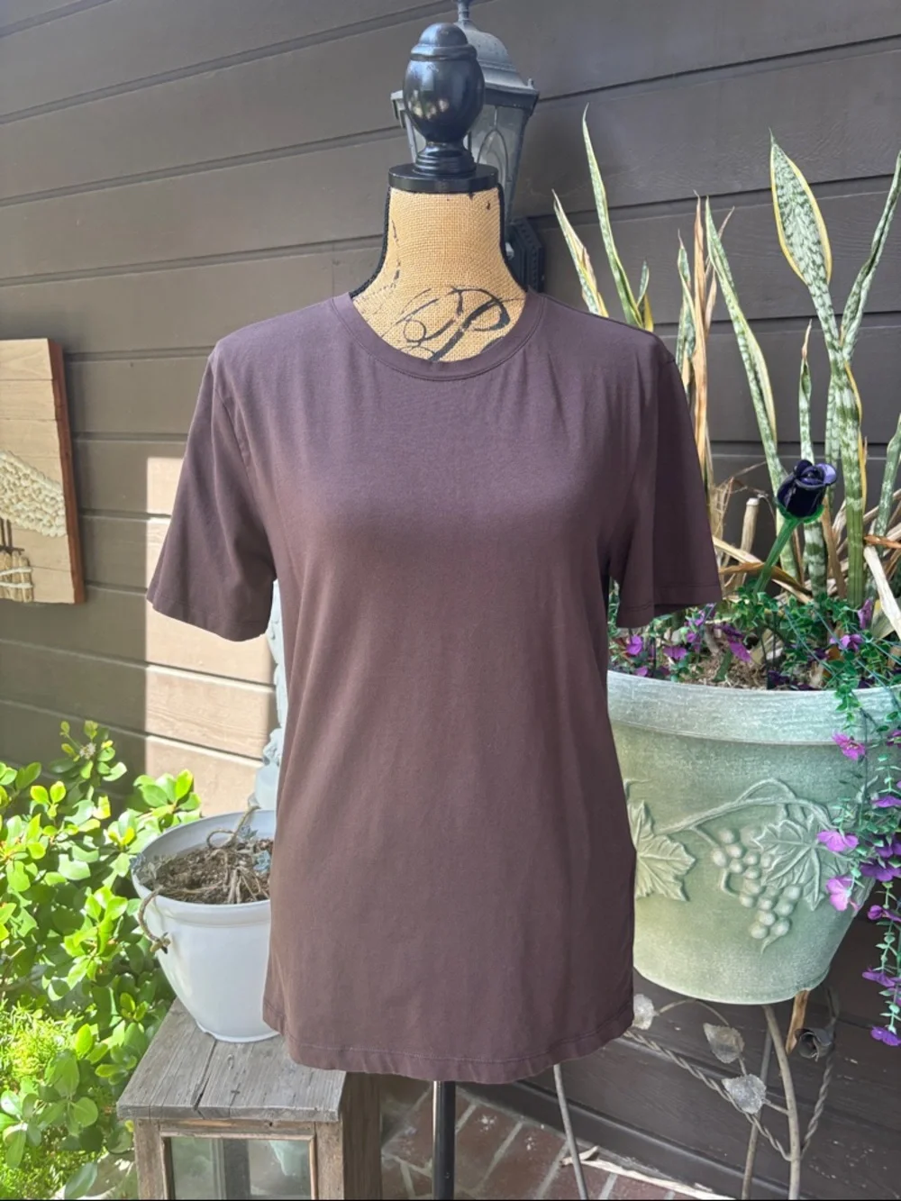 Zara Short Sleeve Tee in Chocolate Brown - Picture 2 of 7